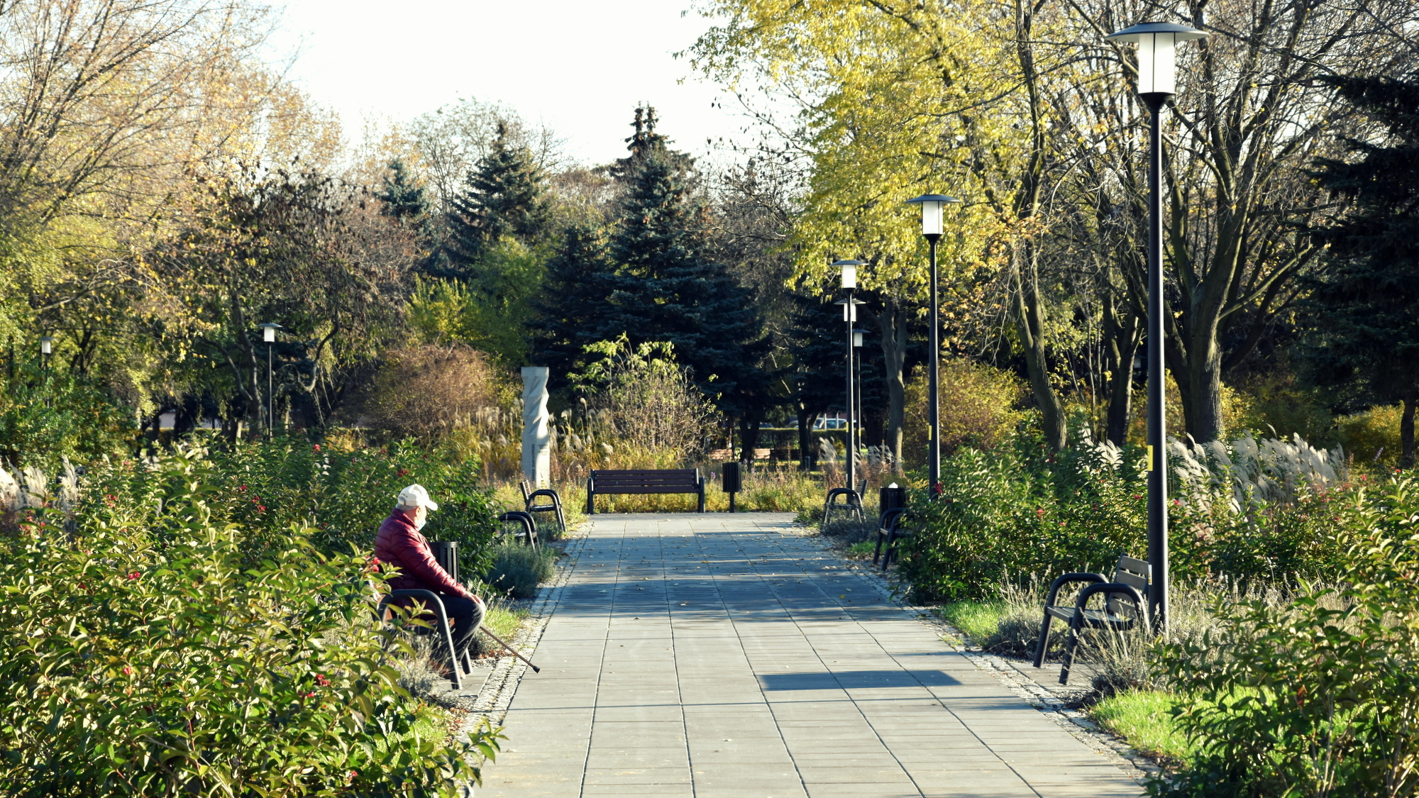 Park z aleją, mężczyzna siedzący na ławce