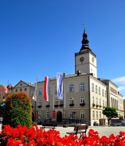 Ratusz z wieżą widokową, na pierwszym planie czerwone kwiaty