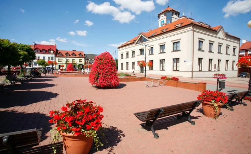 Widok na rynek i budynek ratusza, na pierwszym planie donice z kwiatami 