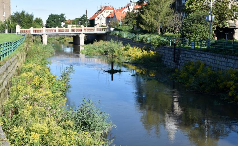 Widok na rzekę Piławę, w tle Most Niepodległości 