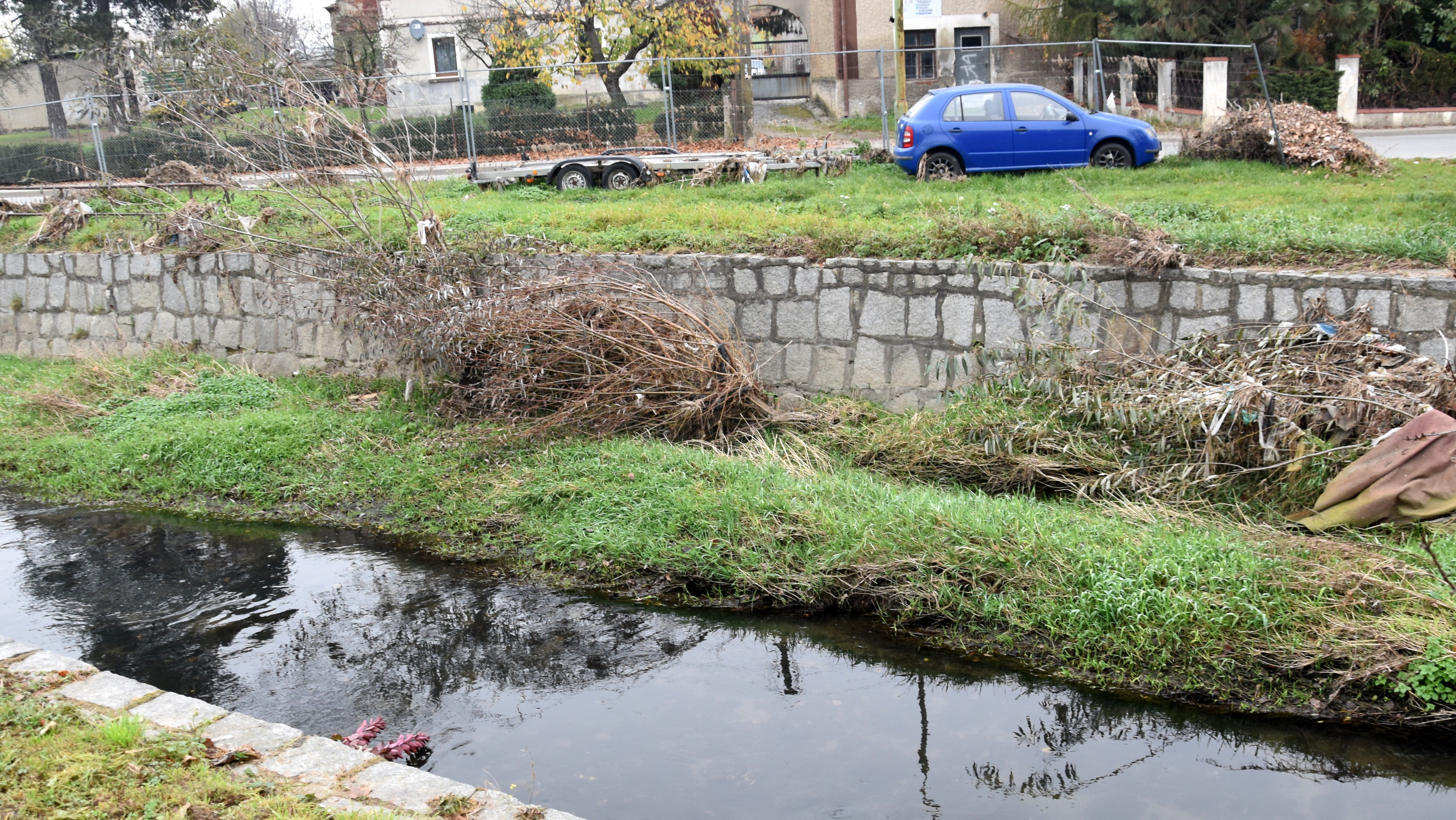 Koryto rzeki częściowo zarośniete trawą i krzakami