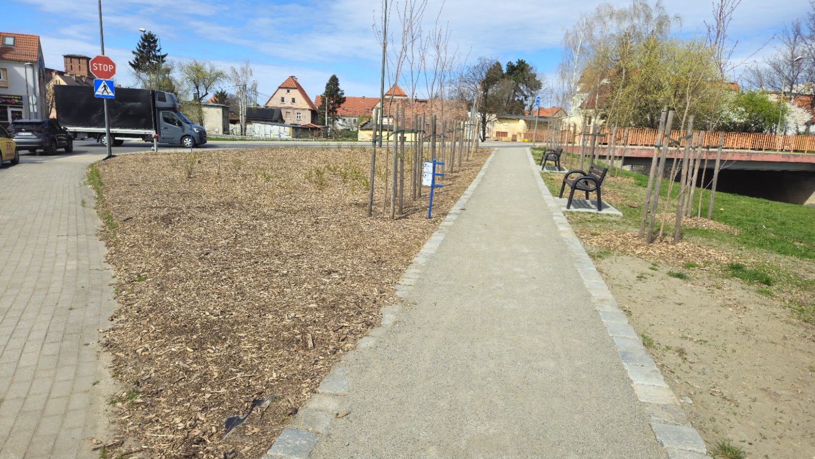 teren zielony przy drodze, złode drzewa