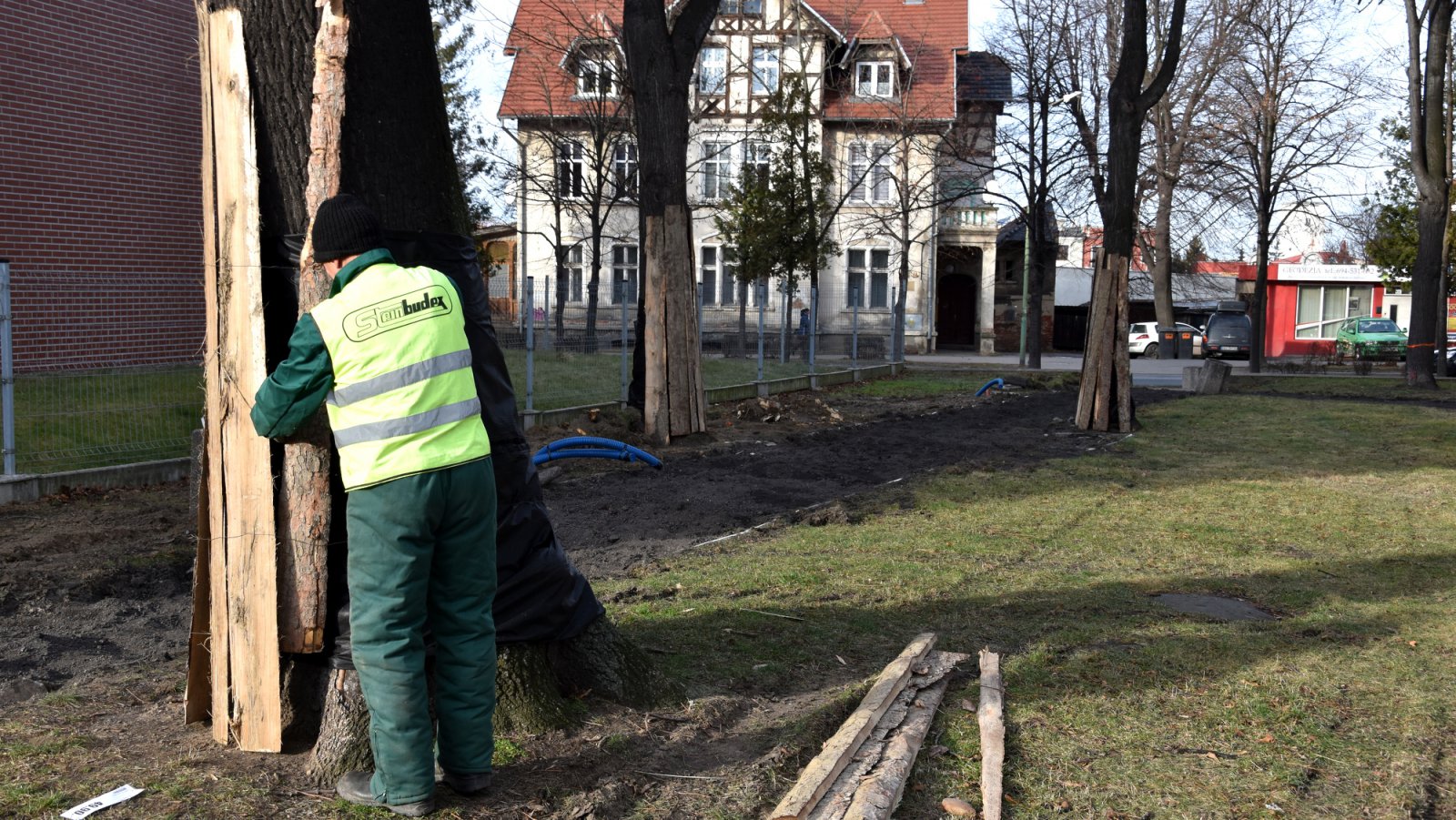 Park i pracownik zabezpiczający drzewo przed uszkodzeniami