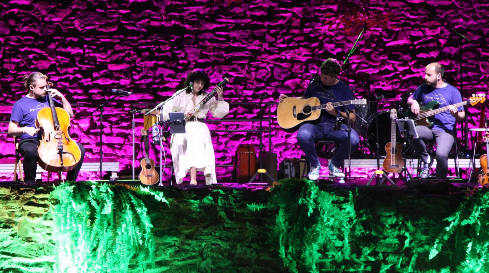 Czwórka muzyków na scenie, przed nimi zieleń, za nimi fioletowe kamienne mury