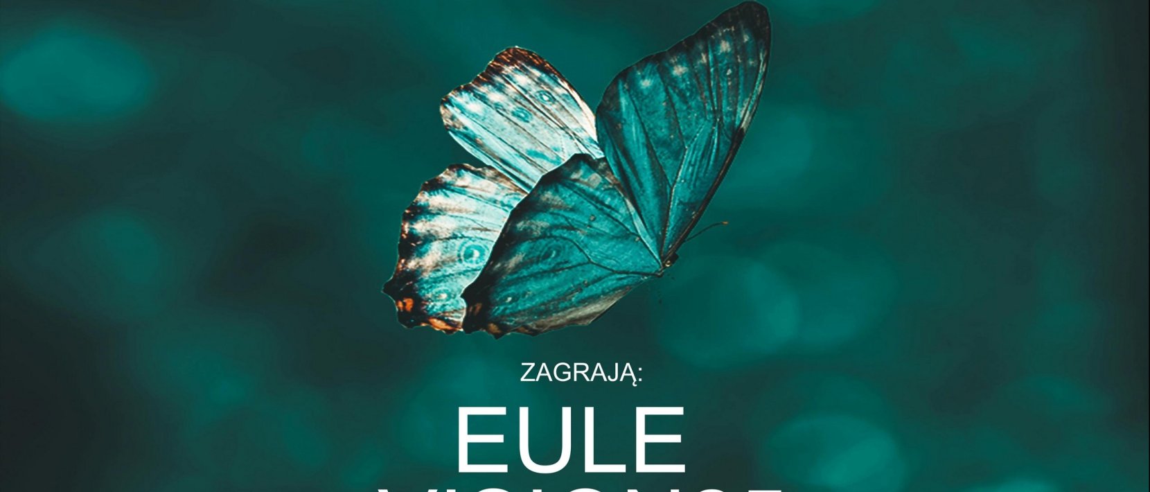 Zielone tło, zielono-czarny motyl, pod spodem nazwy zespołów