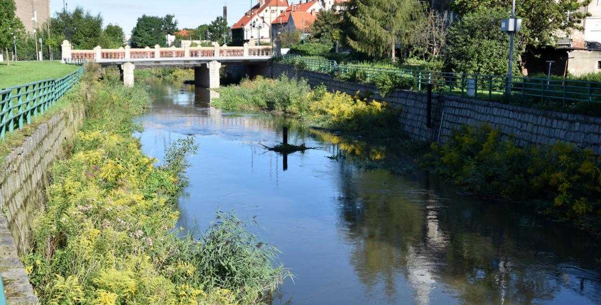 Widok na rzekę Piławę, w tle Most Niepodległości 