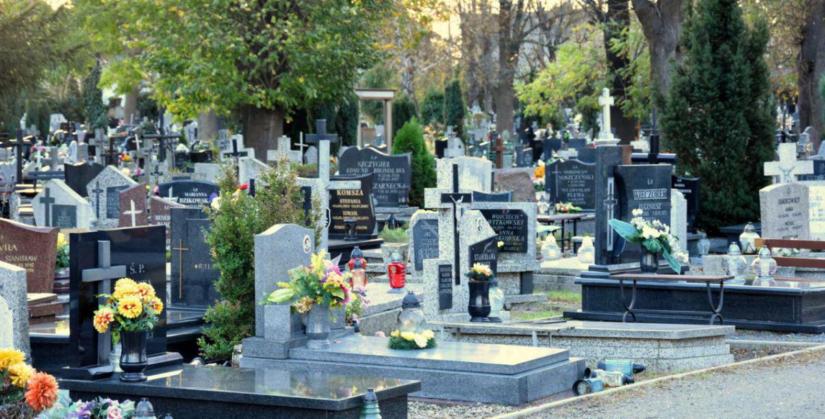 Groby ozdobione kwiatami i zniczami