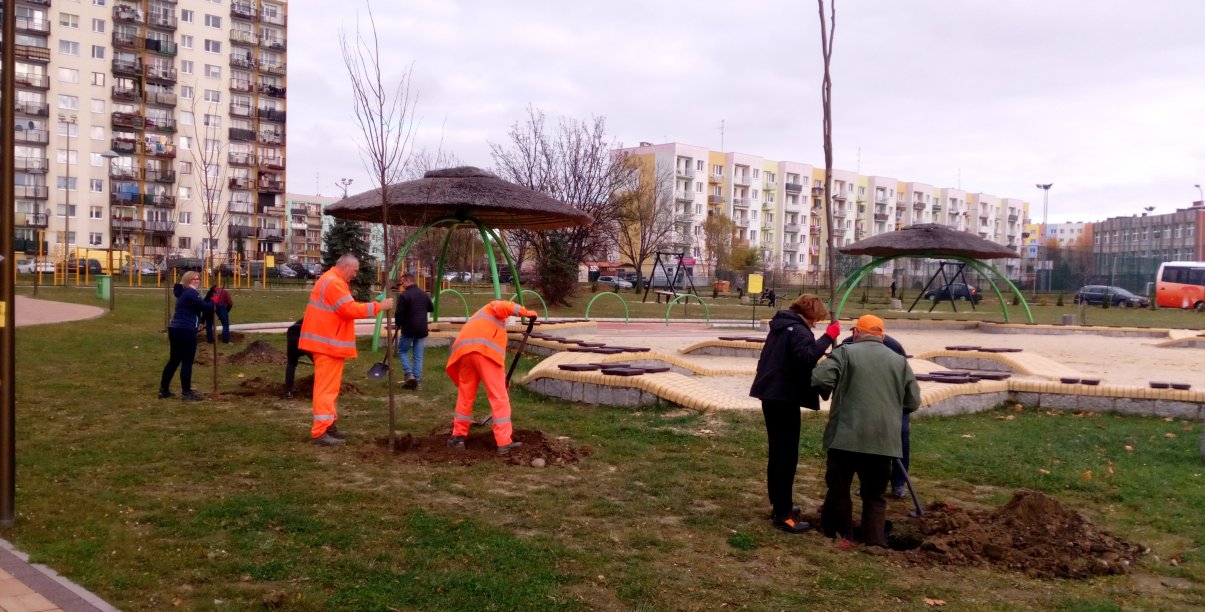 Kilka osób sadzących drzewka, w tle wieżowiec 