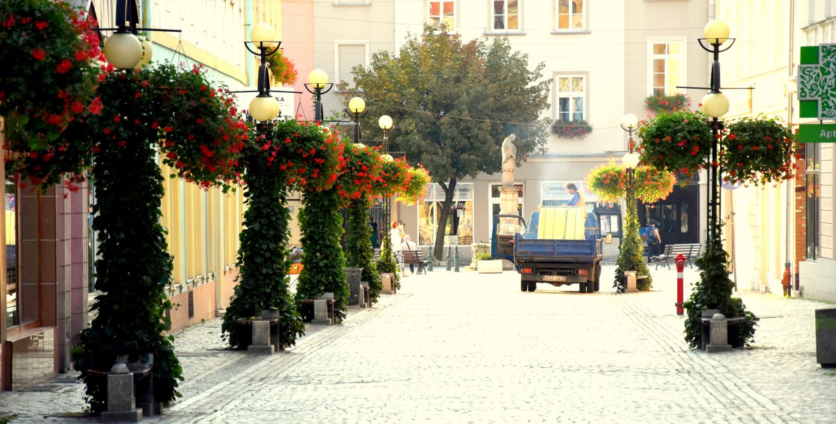 Widok na zabytkową uliczkę i lamy obrośnięte zielenią