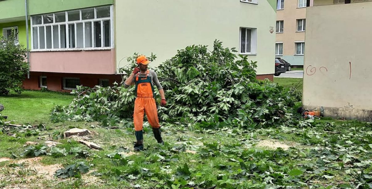 Mężczyzna w popmarańczowym stroju roboczym przy powalonym drzewie, w drugim planie blok mieszkalny