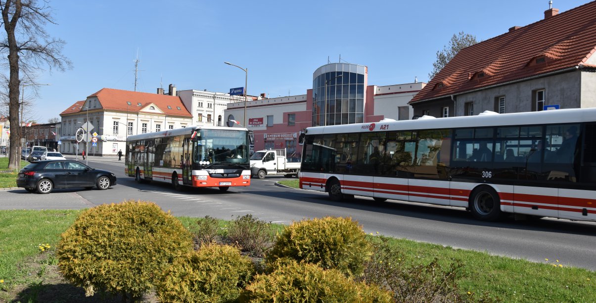 Droga i jadący nią autobus, na pierwszym planie zieleń