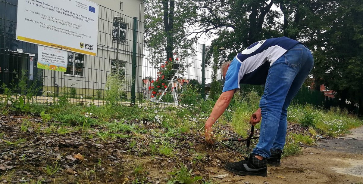 Mężczyzna pracujący przy zielonym trawniku