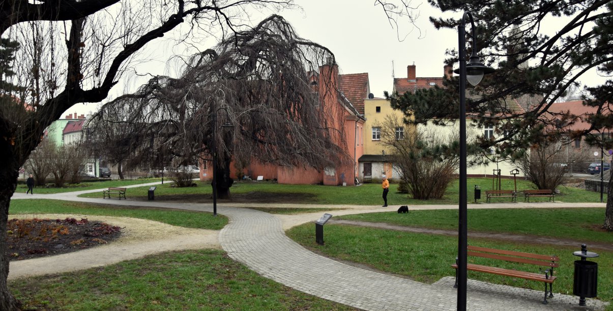 Park wczesną wiosną, zielona trawa, alejki i drzewa bez liści