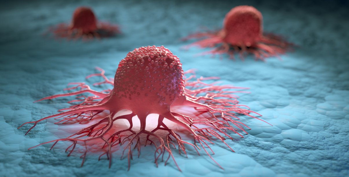 Komórki rakowe na mikroskopowym zbliżeniu