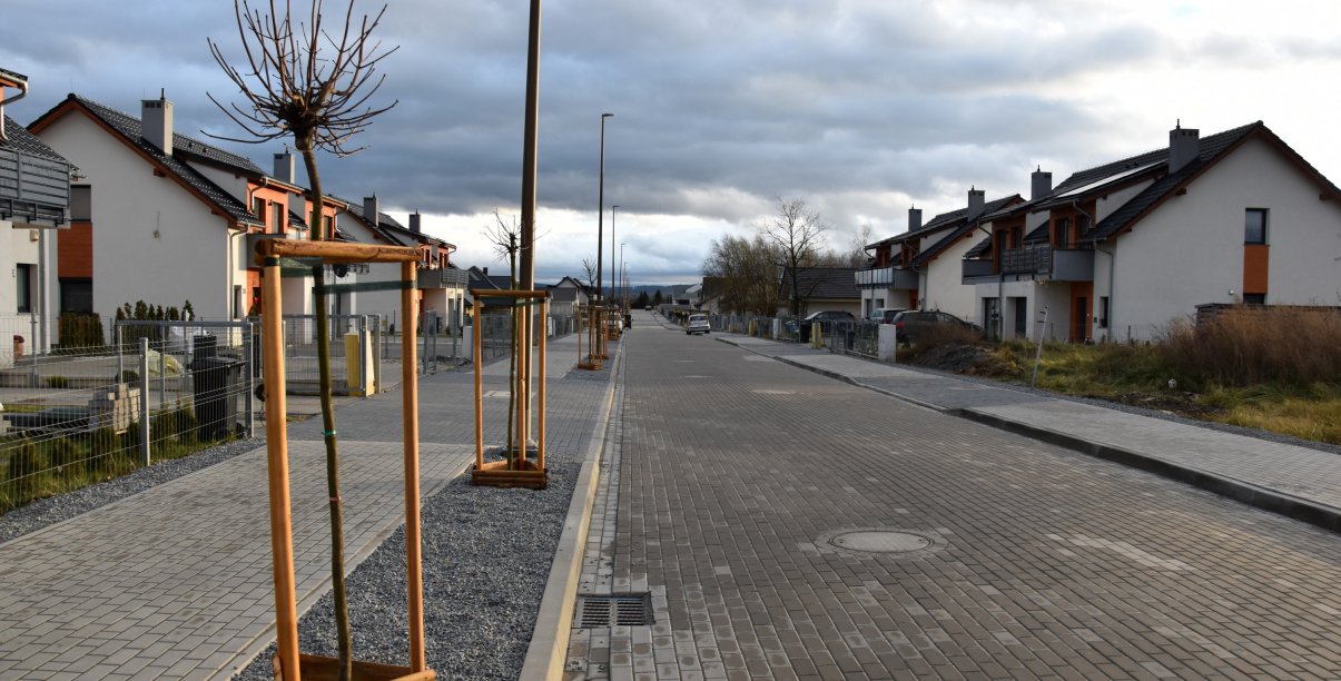 Droga z kostki betonowej, po bokach zasadzone drzewka, za chodnikiem domy jednorodzinne