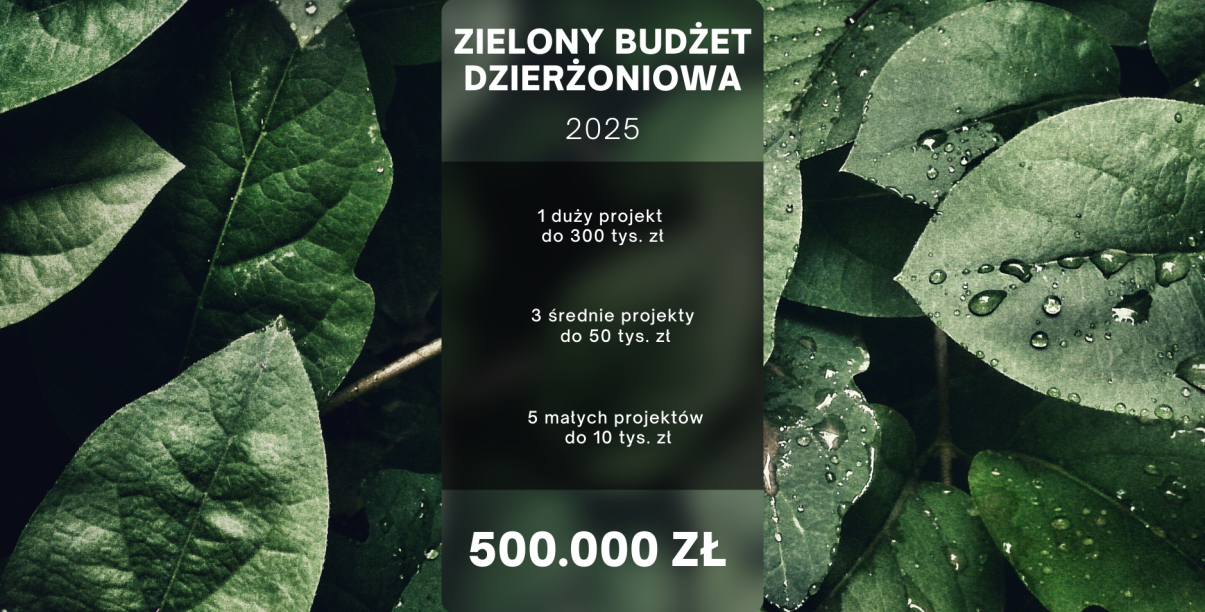 Grafika z zielonymi liśćmi z napisami Zielony Budżet Dzierżoniowa 2025 i kwota na niego przeznaczoną 500 tys. zł