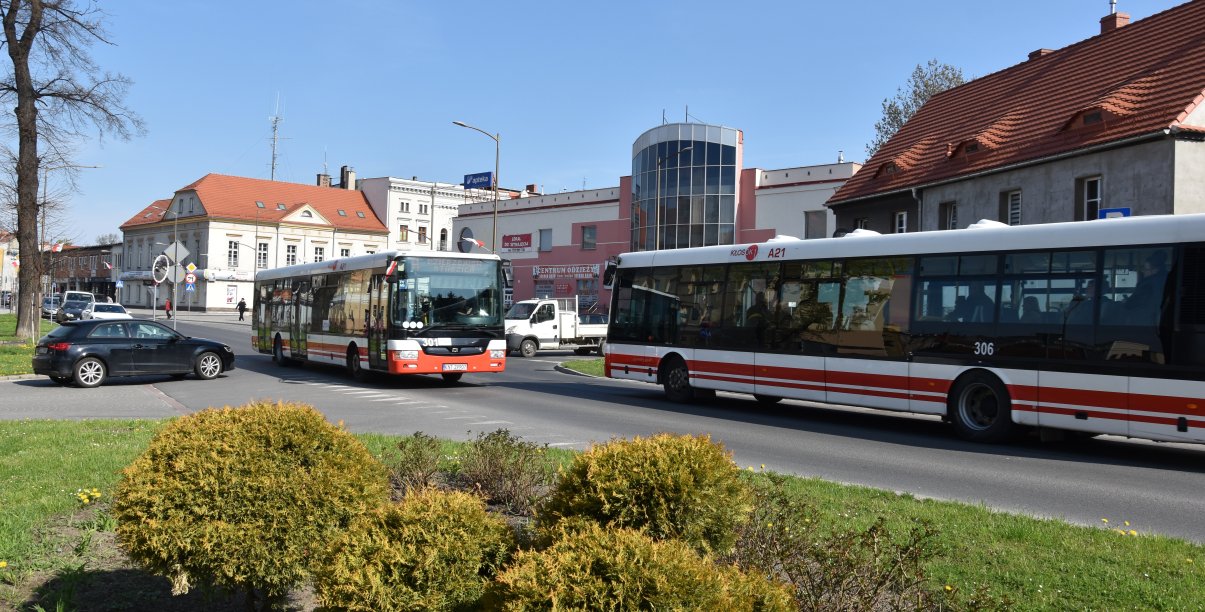 Dwa mijające się na drodze autobusy komunikacji miejskiej, z przodu zieleń, w tle budynki