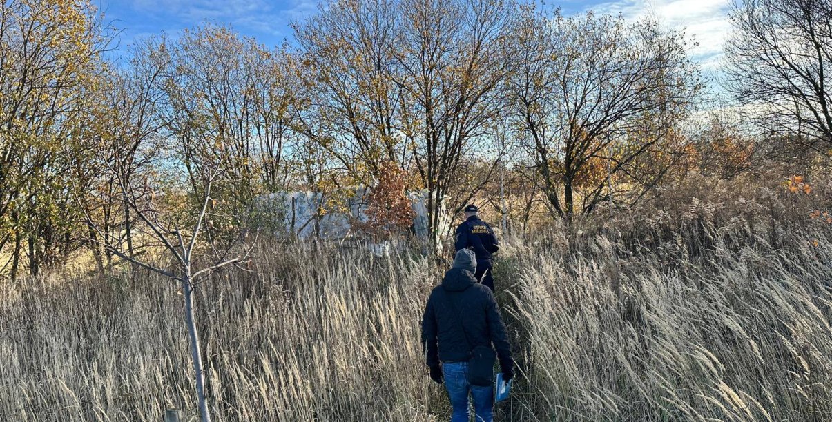 Teren nieużytków. Strażnik miejski i pracownik OPS-u zmierzają do przyczepy samochodowej ukrytej za drzewami