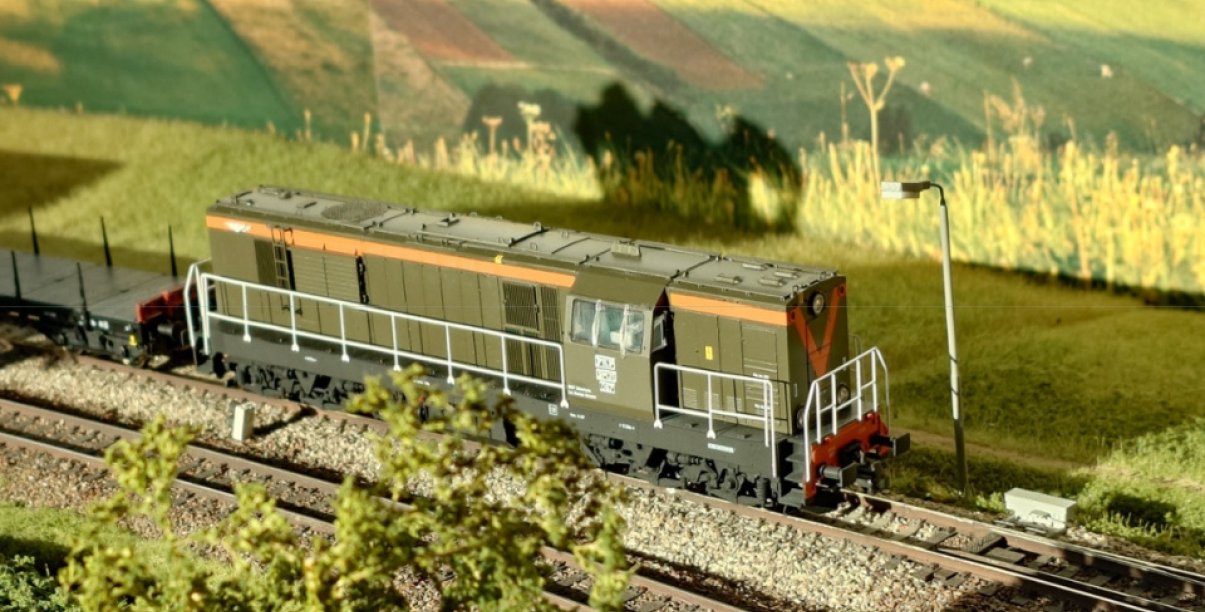 Miniaturka lokomotywy jadące po torach, w tle łąka