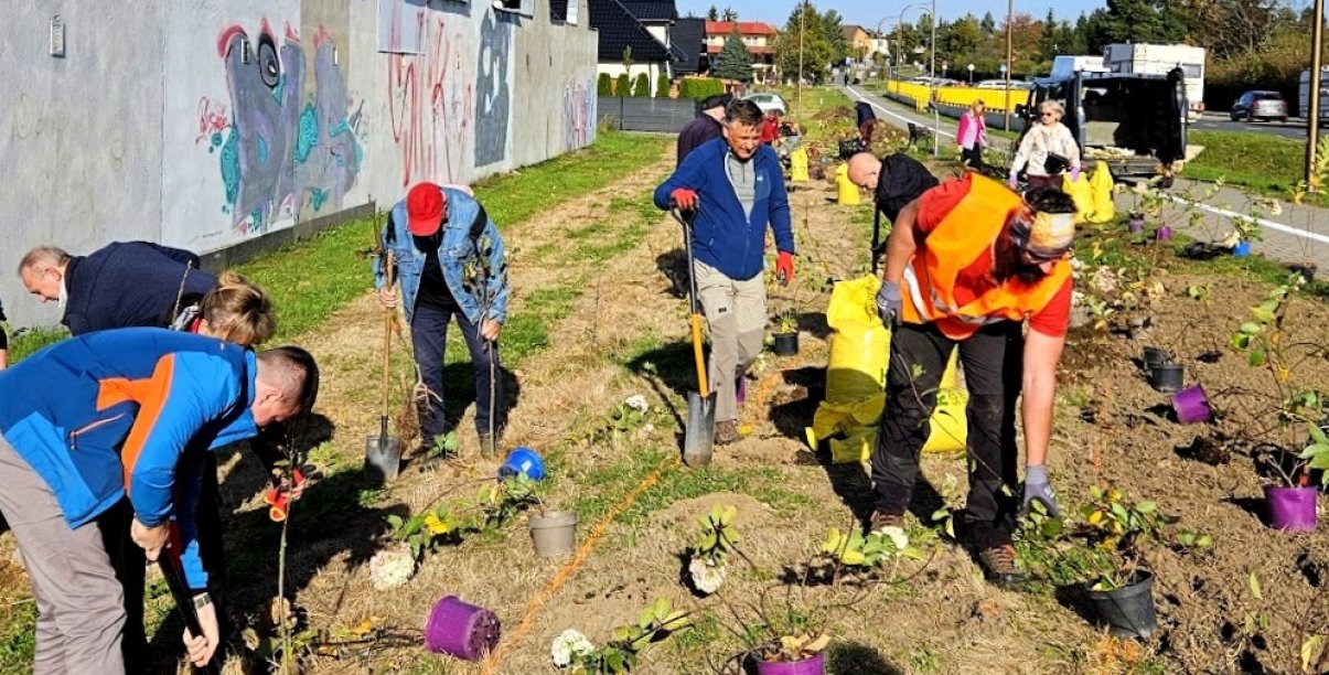 Grupa osób sadząca drzewa i krzewy przy ul. Złotej