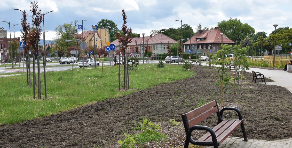 Duży teren zielony pomiędzy drogą a chodnikiem