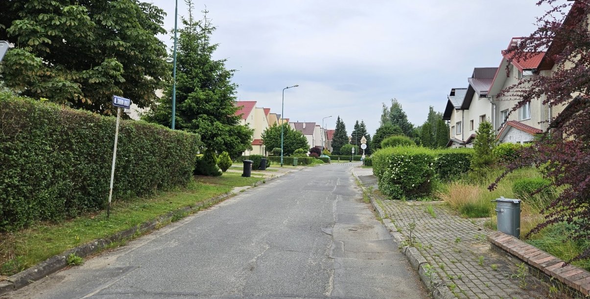Asfaltowa droga pomiędzy domami jednorodzinnymi, po bokach żywopłot
