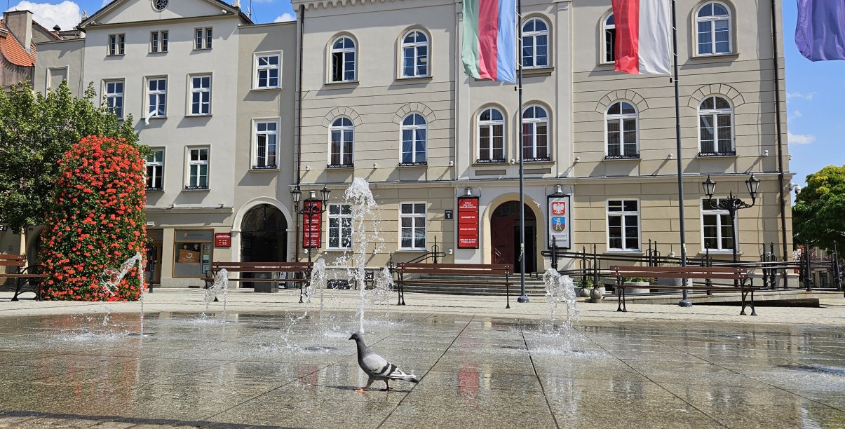 Rynek, widok na fontannę i ratusz