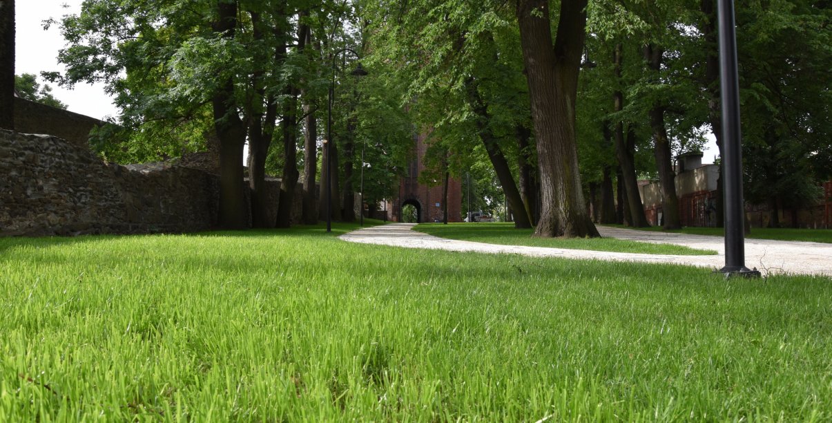 Park miejski, po lewej stronie mury obronne, po środku alejki i duże drzewa