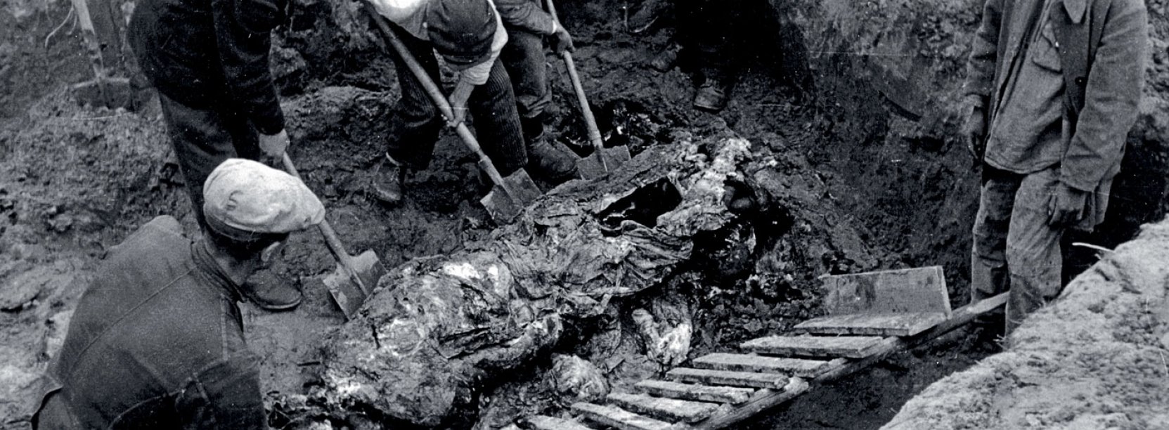 Archiwalne zdjęcie z ekshumacji zwłok w Katyniu