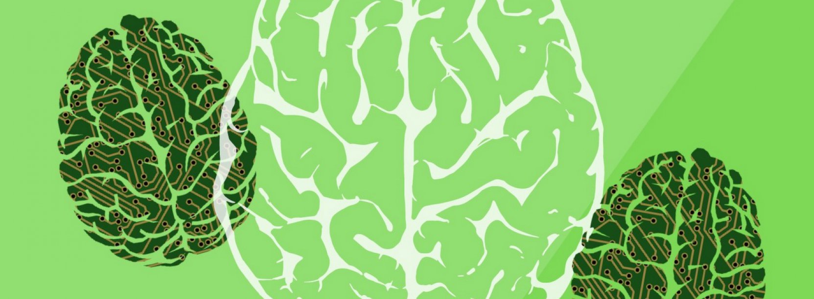 Szkice muzgu na zielonym tle