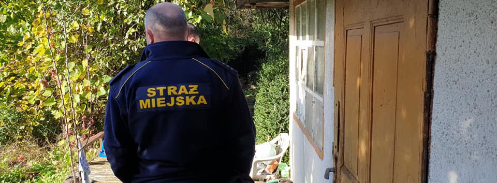 Na zdjęciu strażnik miejski kontroluje ogródki działkowe