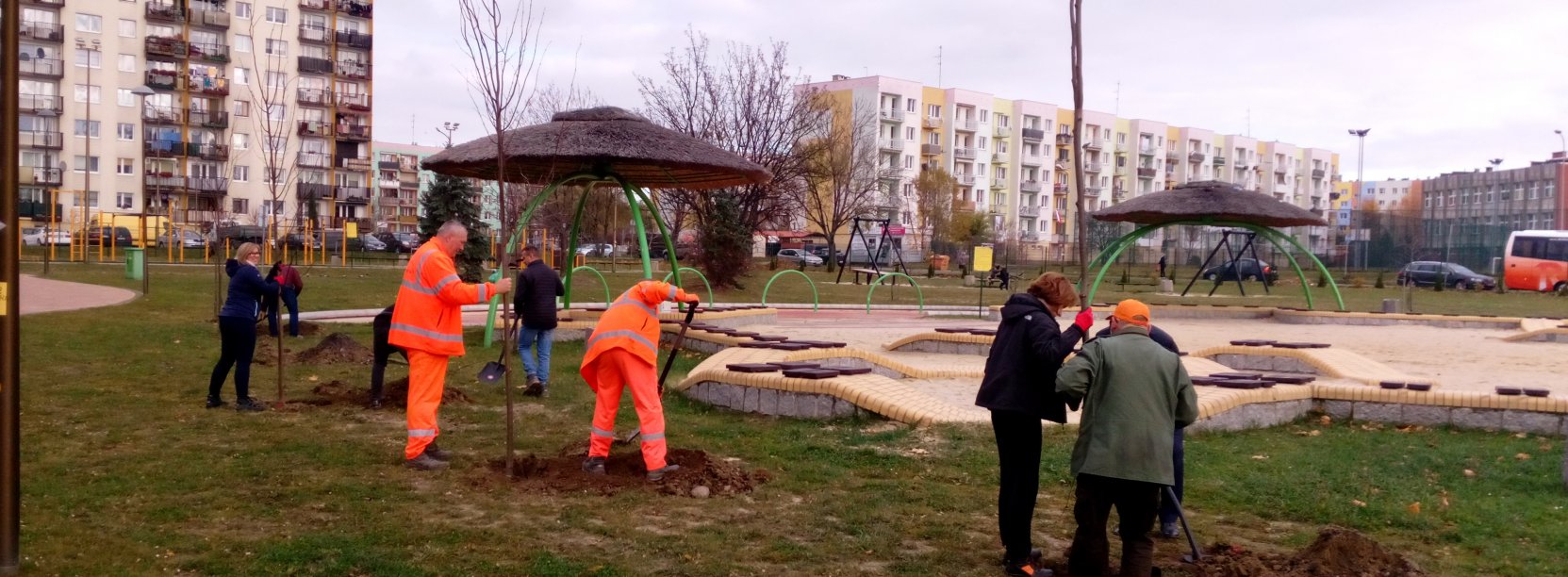 Kilka osób sadzących drzewka, w tle wieżowiec 