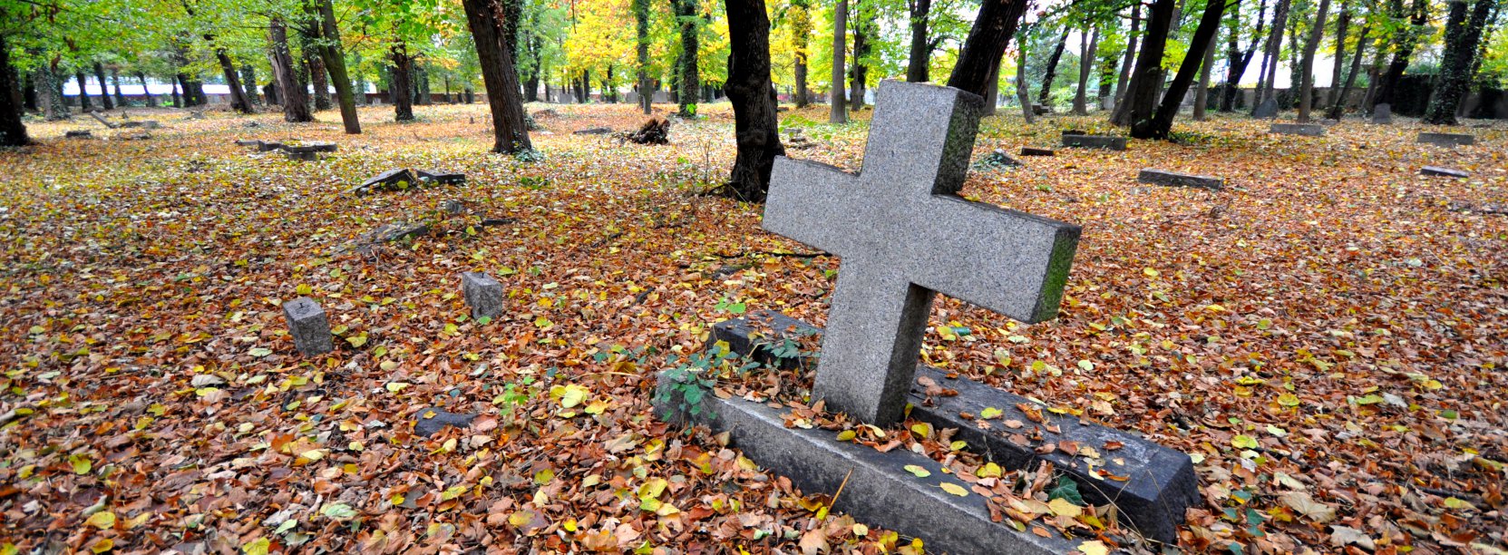 Cmentarz ewangelicki w Dzierżoniowie