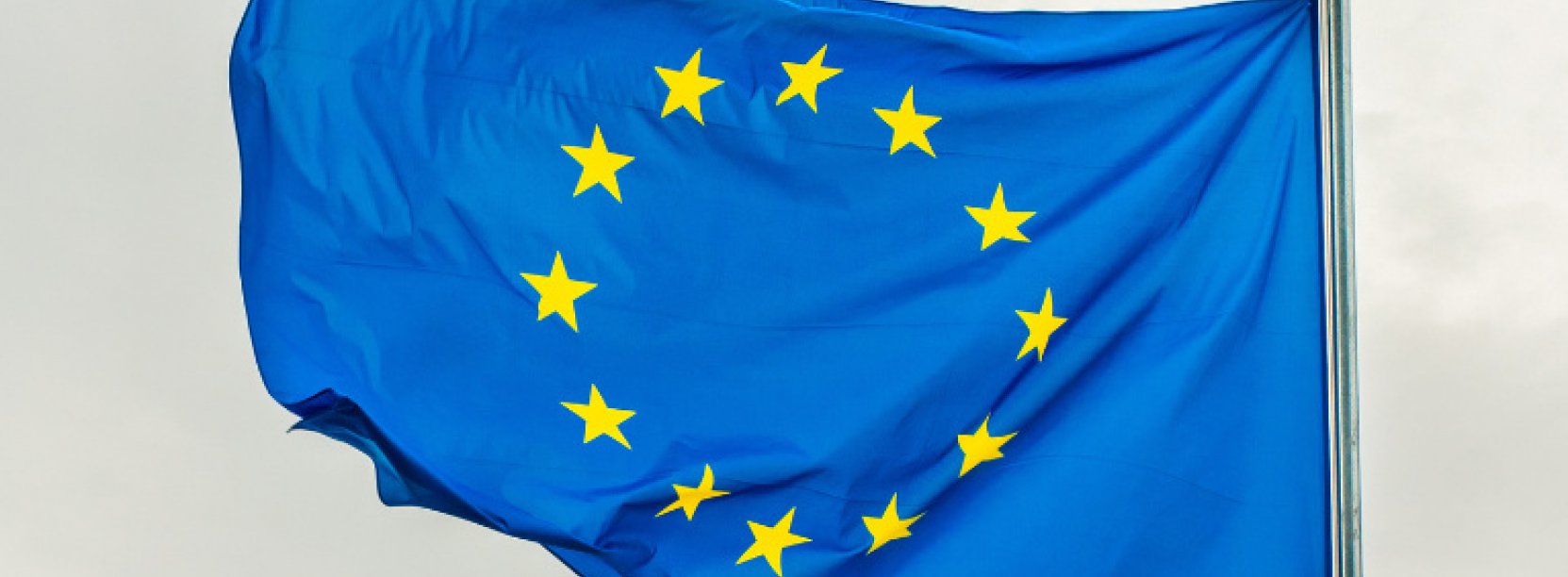 Flaga Unii Europejskiej na szarym tle