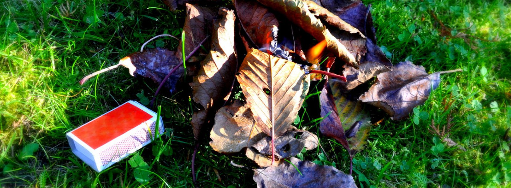 Suche liście leżące na trawie, obok czerwone pudeł zapałek 