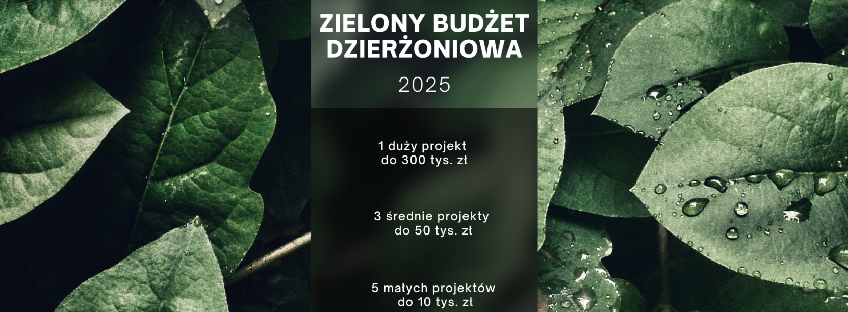 Grafika z zielonymi liśćmi z napisami Zielony Budżet Dzierżoniowa 2025 i kwota na niego przeznaczoną 500 tys. zł