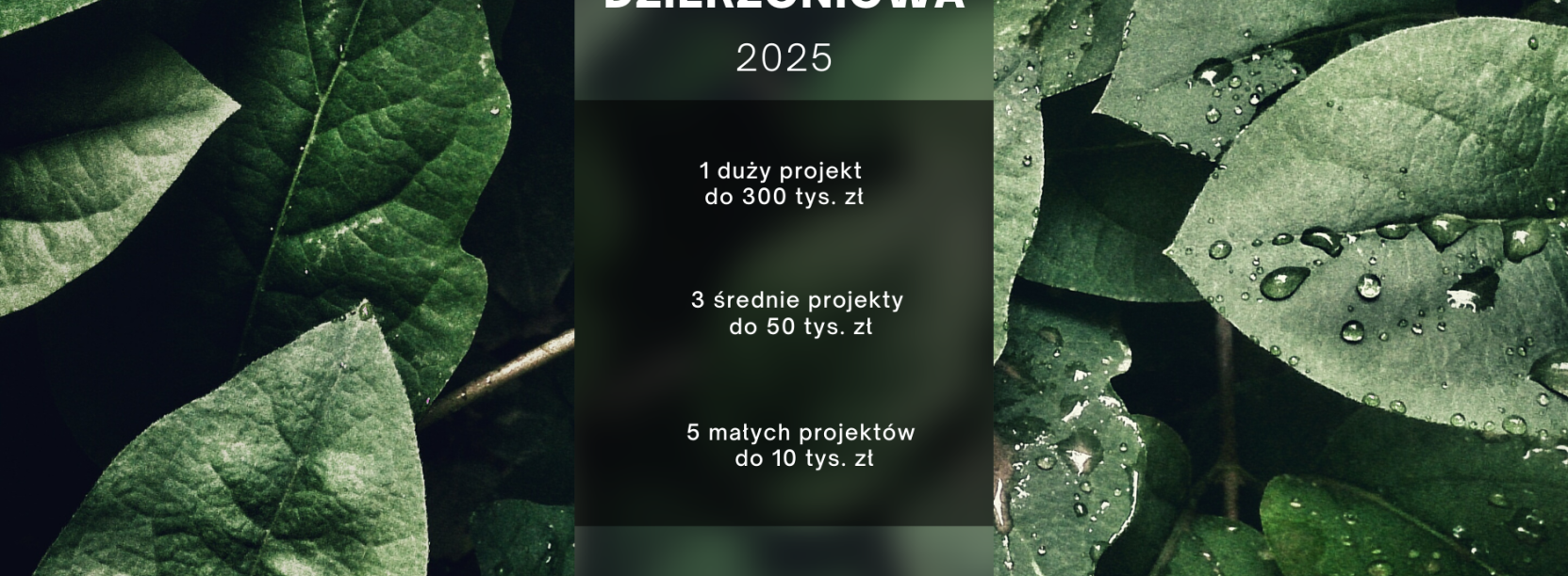 Grafika z zielonymi liśćmi z napisami Zielony Budżet Dzierżoniowa 2025 i kwota na niego przeznaczoną 500 tys. zł