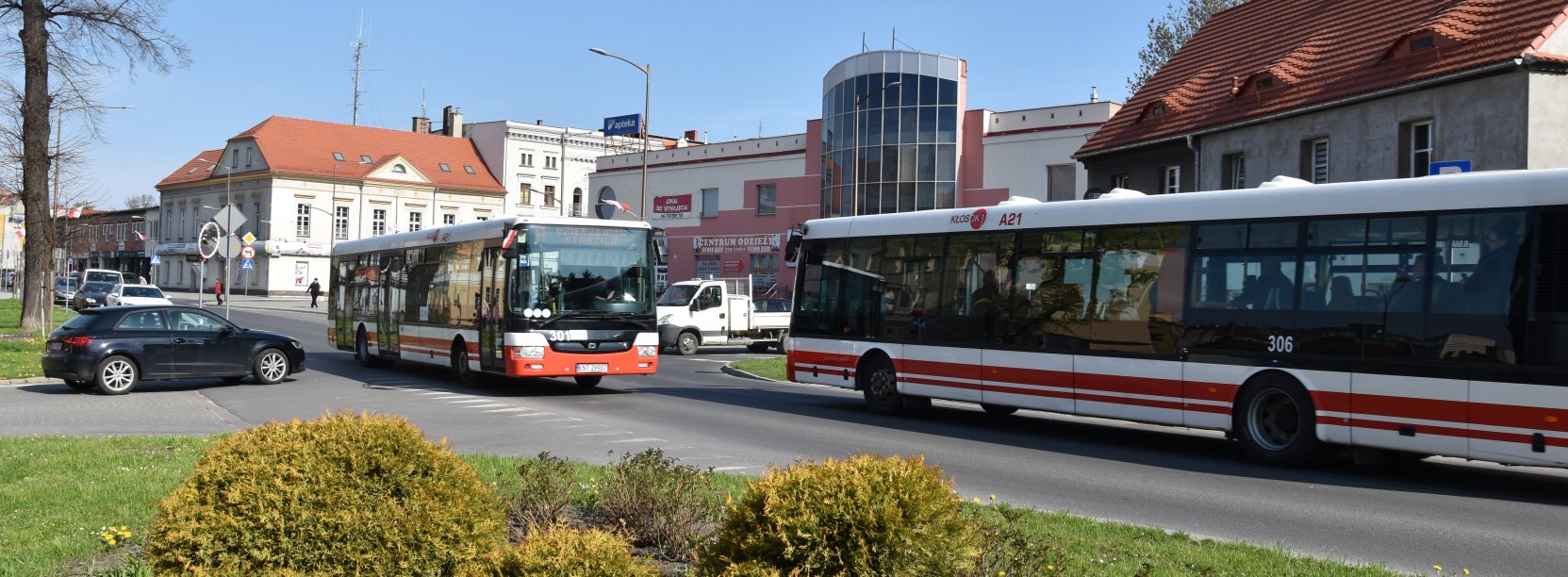 Dwa mijające się na drodze autobusy komunikacji miejskiej, z przodu zieleń, w tle budynki