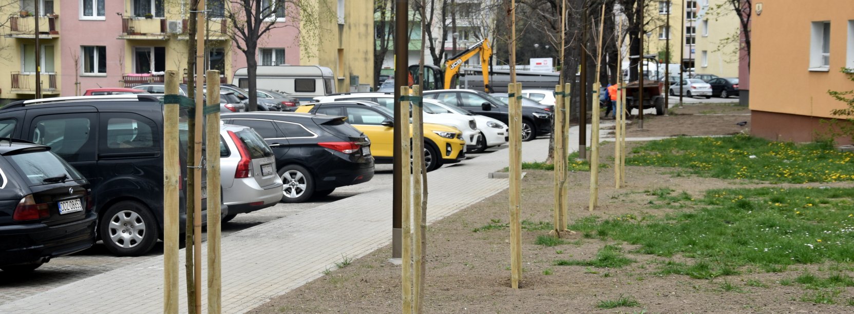 Fragment osiedla z nowo zasadzonymi drzewkami na terenie zielonym