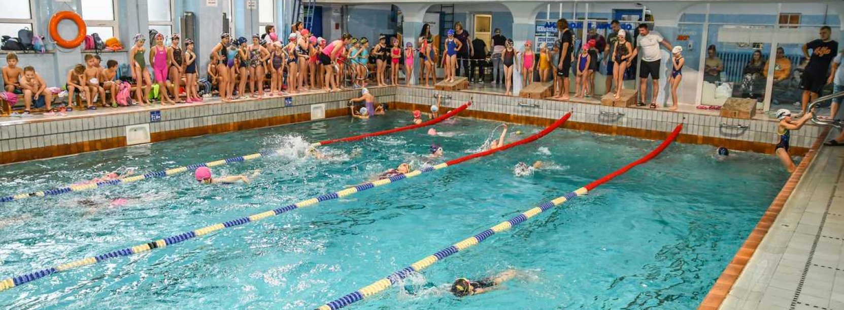 Basen kryty, dokoła ludzie kibicujący pływakom