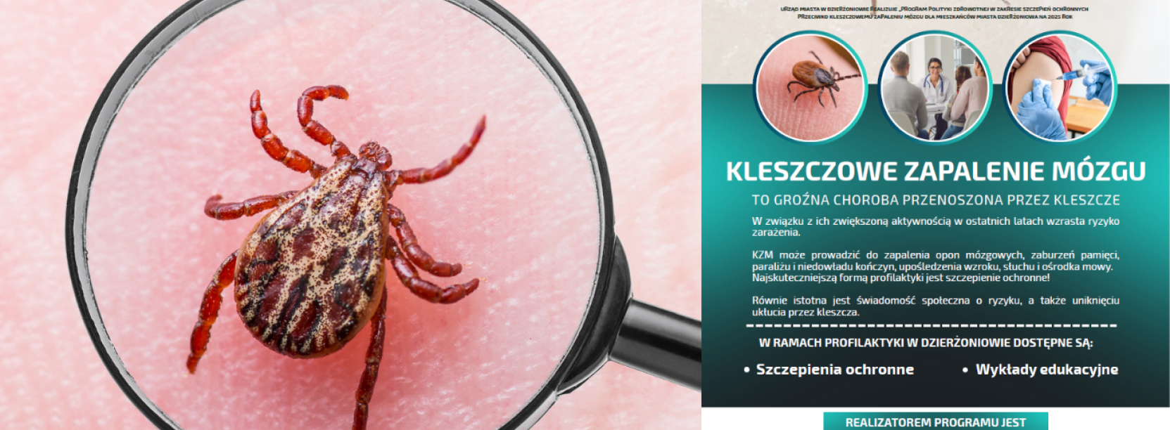 Kolaż złożony z plakatu informacyjnego o kleszczowym zapaleniu opon mózgowych i zdjęcia kleszcza