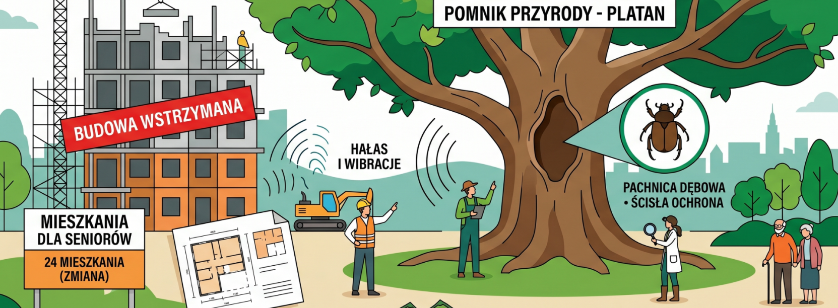 grafika z drzewem, budową i fachowcami - ilustrująca sytuację wstrzymania budowy przez obecność owada