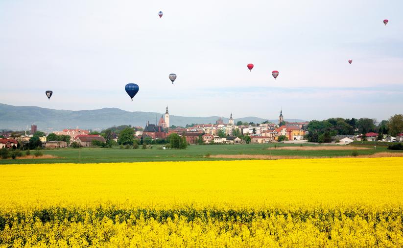 Widok na Dzierżoniów, z balonami nad miastem. Na pierwszym planie pole żółtego rzepaku