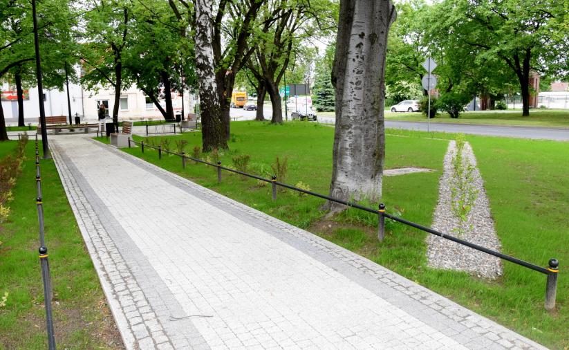 Alejka i teren zielony z punku widzenia spacerowicza