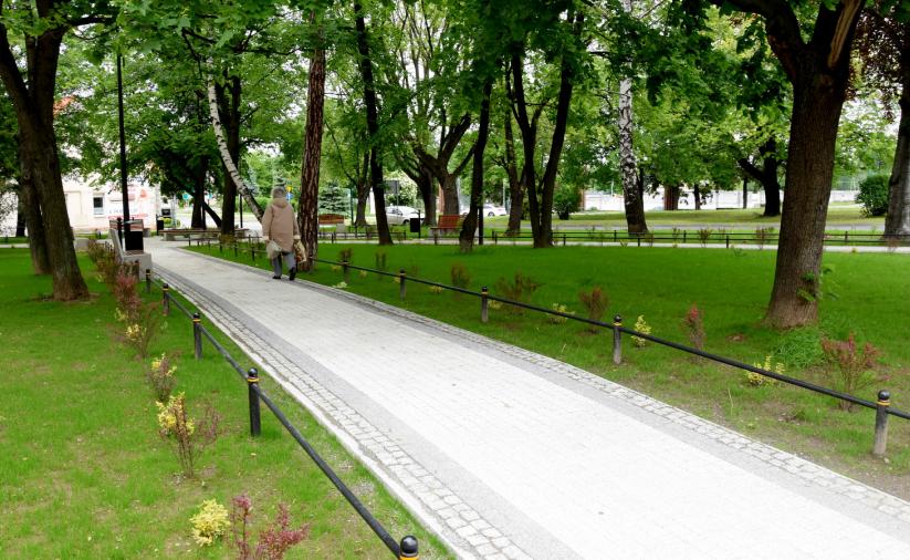 Nasadzenia wzdłuż odremontowanej alei