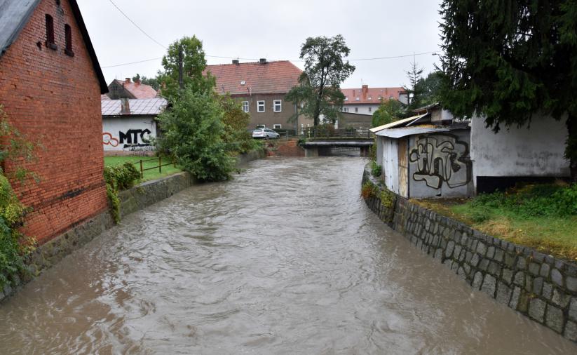 Koryto rzeki piławy z wysokim poziomem wody