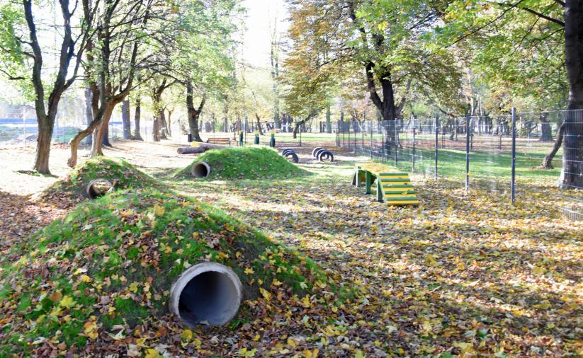 Tunel podziemny dla psów