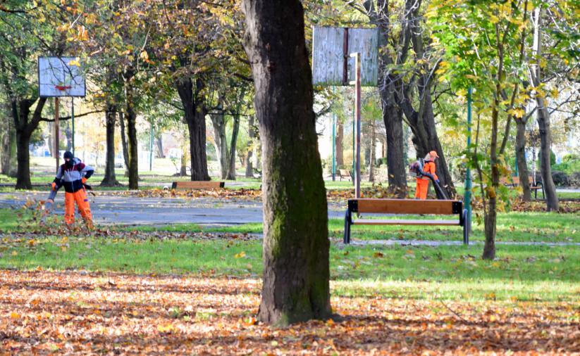 Teren parku, w drugim panie dwóch panów pożądkujących teren zielony