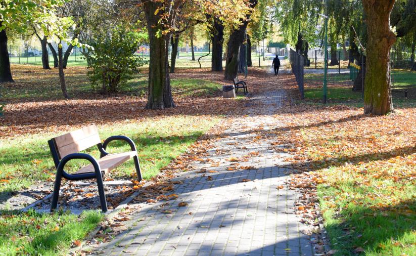 Park jesienią, widok na alejkę i łąwkę