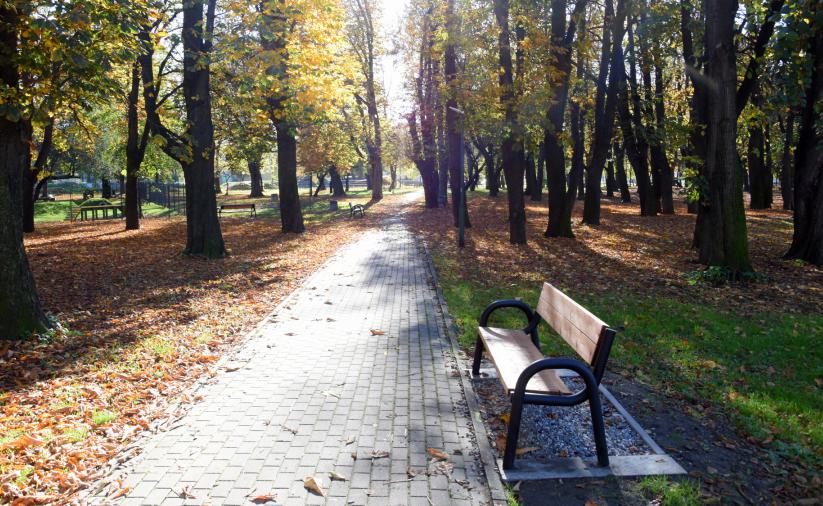 WSkąpany w słońcu park, z nowymi ławkami